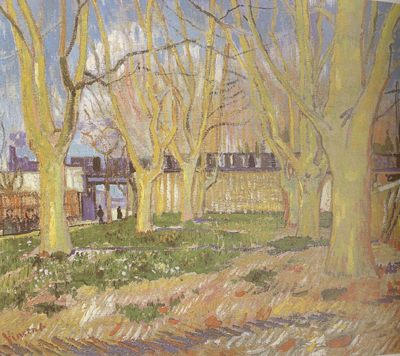 Avenue of Plane Trees near Arles Station (nn04)